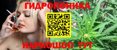 винт Будённовск