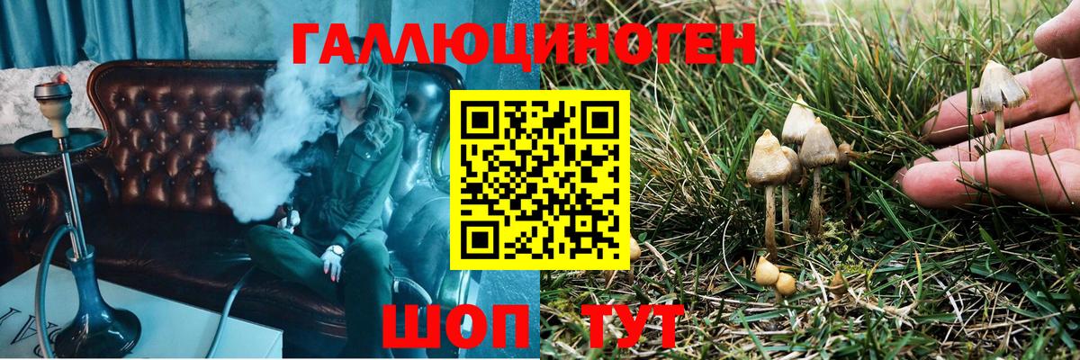 Галлюциногенные грибы мухоморы  Вход с VPN  Чехов 