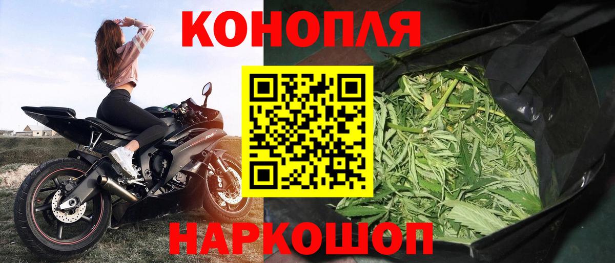 Бошки Шишки Amnesia Чехов